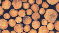 dřevo wood-1209632 960 720